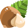 Hazelnut